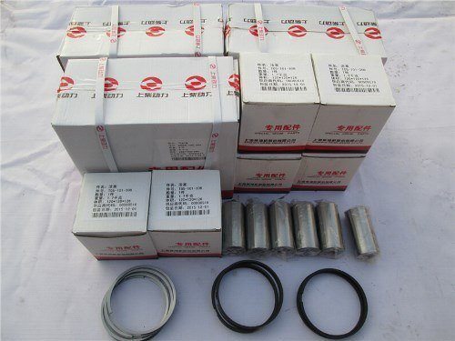 Поршневая группа SHANGCHAI D6114B