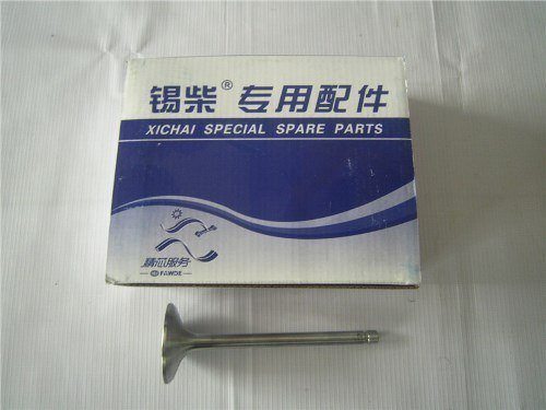 Клапан ДВС впускной CA6110/125Z1A1