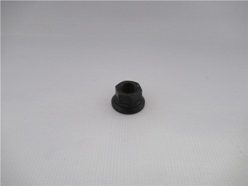 Гайка ступицы STEYR задней 22/23MM (оригинал)