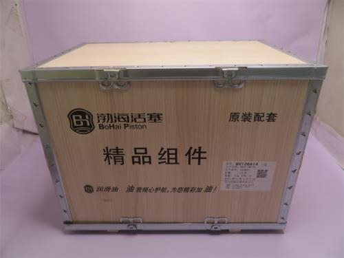 Поршневая группа WD618 BOHAI JINGPIN