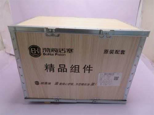 Поршневая группа WP12/D12 BOHAI JINGPIN