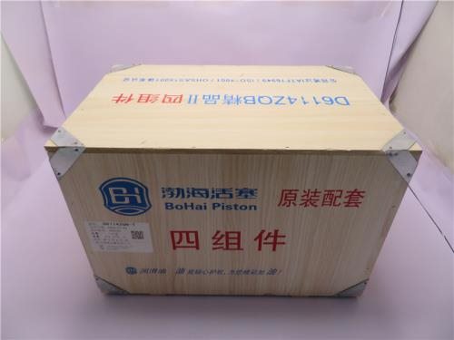Поршневая группа SHANGCHAI D6114B