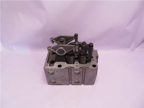 Головка блока D12 (4 клапана) в сборе с клапанами  10MM